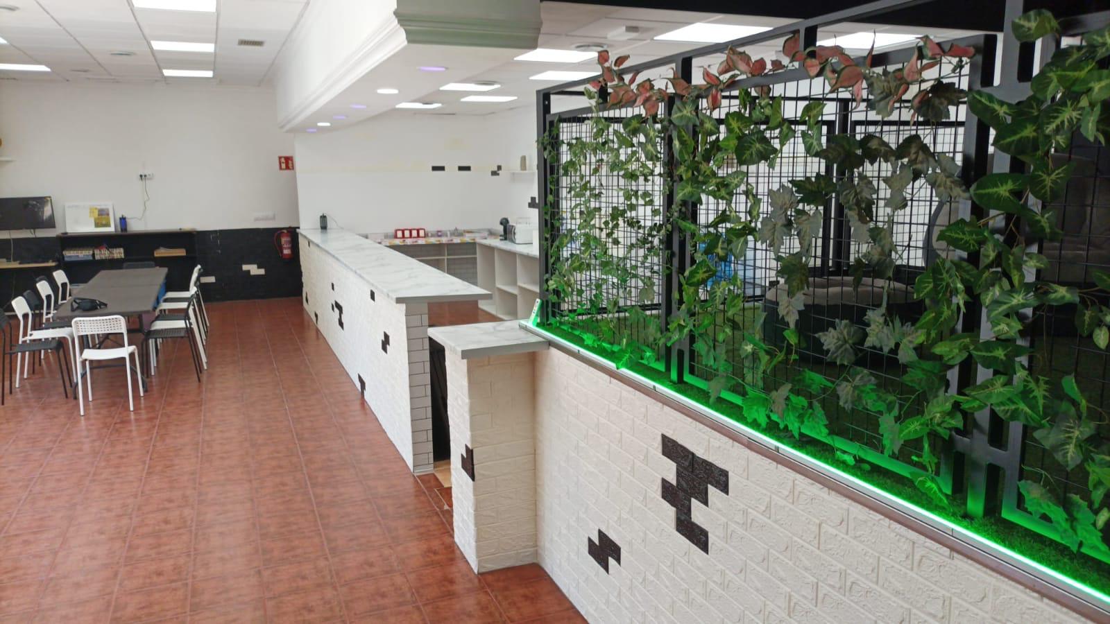 Zona chill out con pared de plantas artificiales y luz LED verde